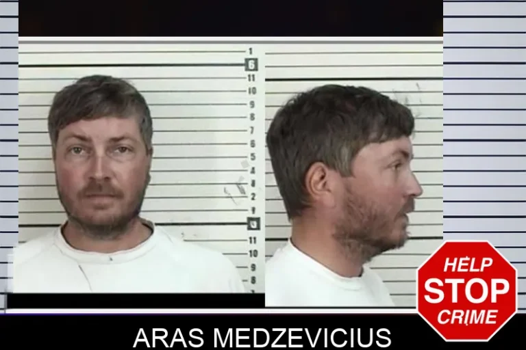 Aras Medzevicius mugshot – Camden County , Georgia Aras Medzevicius