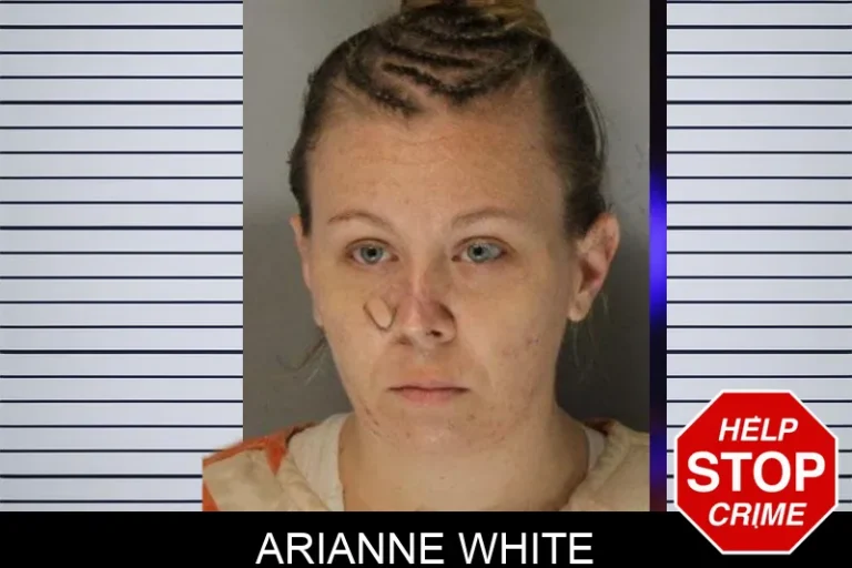 Arianne White mugshot – Hall County , Georgia Arianne White