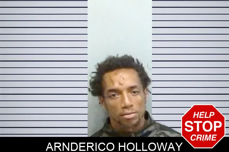 Arnderico Holloway Mugshots