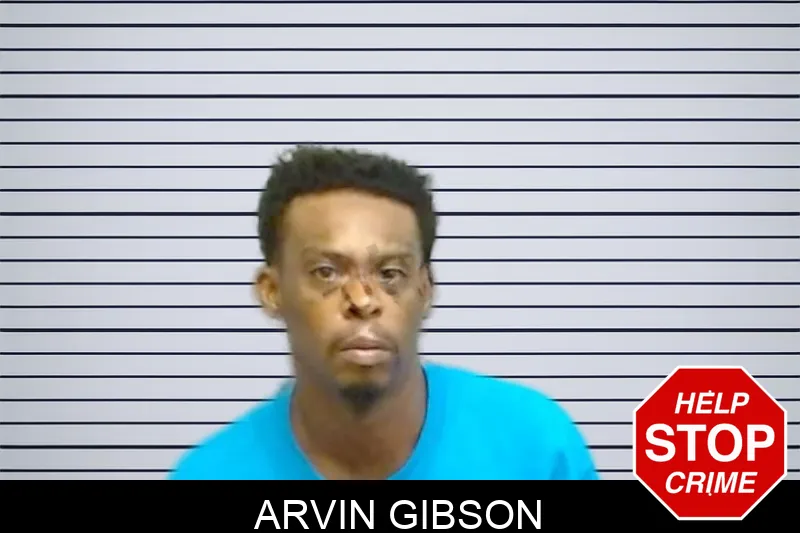 Arvin Gibson mugshot