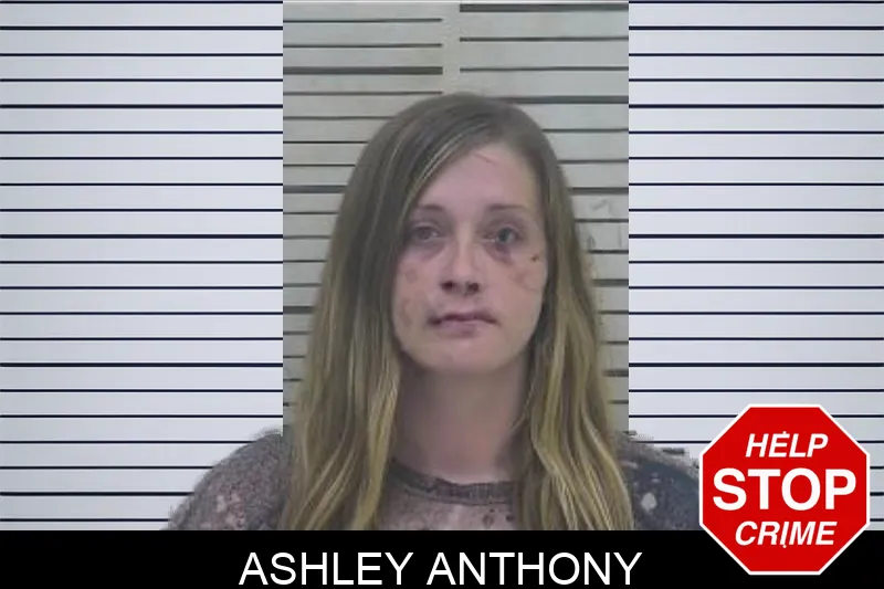 Ashley Anthony Mugshots