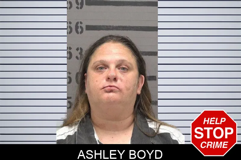 Ashley Boyd Mugshots