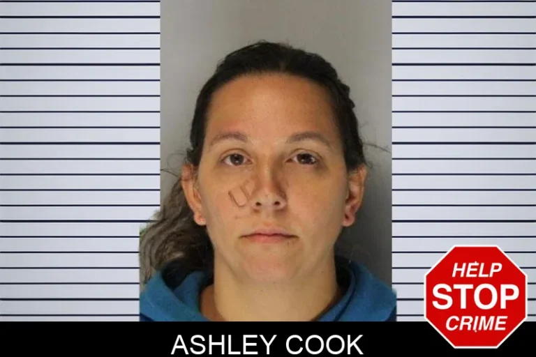 Ashley Cook mugshot – Hall County , Georgia Ashley Cook
