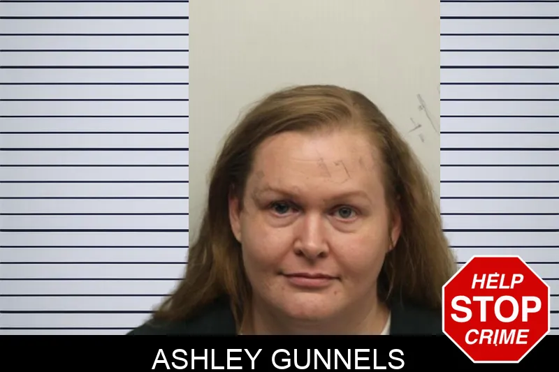 Ashley Gunnels mugshot – Chatham County , Georgia Ashley Gunnels mugshot