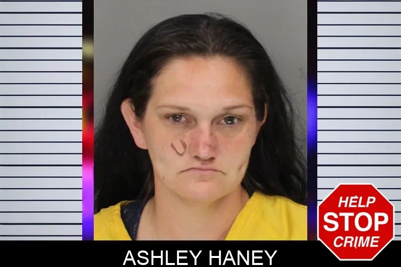 Ashley Haney mugshot