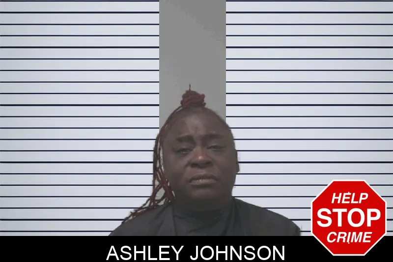 Ashley Johnson Mugshots