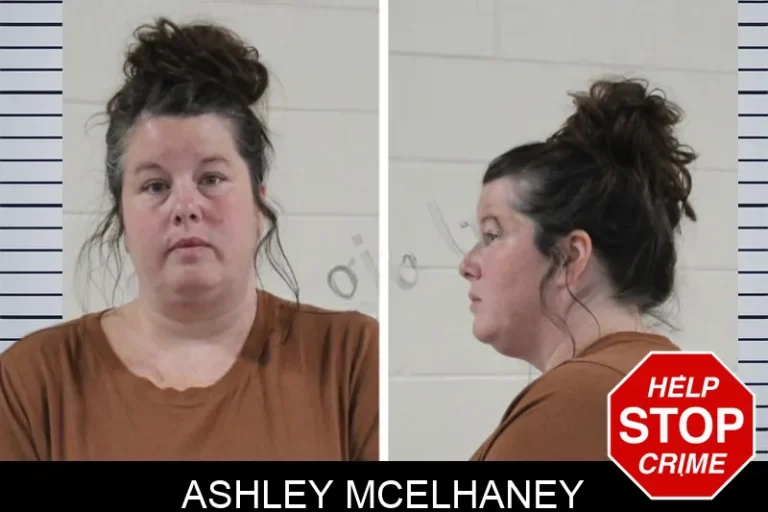 Ashley McElhaney mugshot – Houston County , Georgia Ashley McElhaney