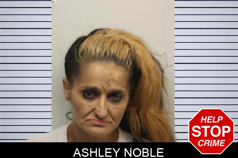 Ashley Noble mugshot