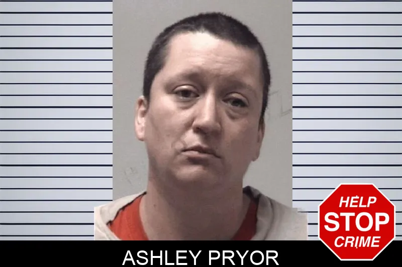 Ashley Pryor mugshot – Coweta County , Georgia Ashley Pryor mugshot
