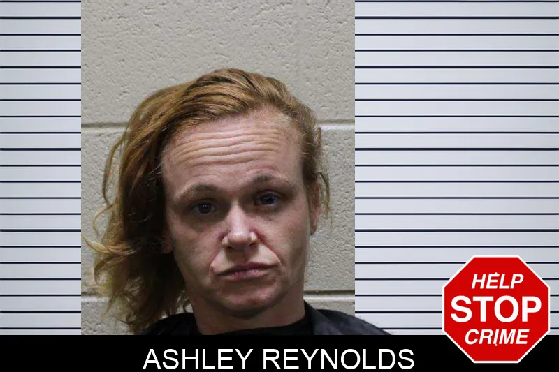 Ashley Reynolds mugshot – Haralson County , Georgia Ashley Reynolds mugshot