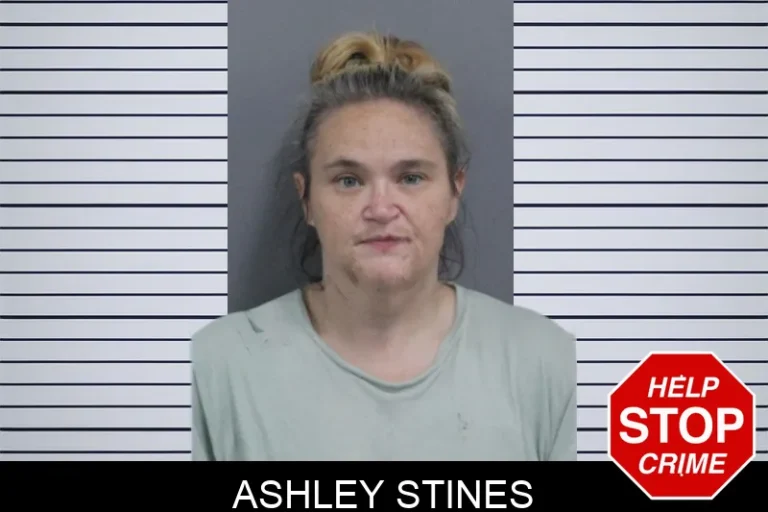 Ashley Stines mugshot – Catoosa County , Georgia Ashley Stines