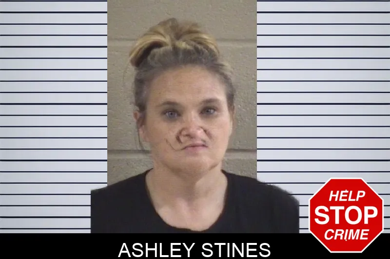 Ashley Stines mugshot – Whitfield County , Georgia Ashley Stines mugshot