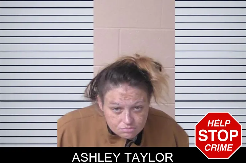 Ashley Taylor mugshot