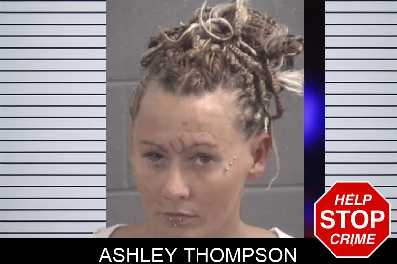 Ashley Thompson Mugshots