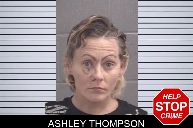 Ashley Thompson mugshot – Spalding County , Georgia Ashley Thompson mugshot