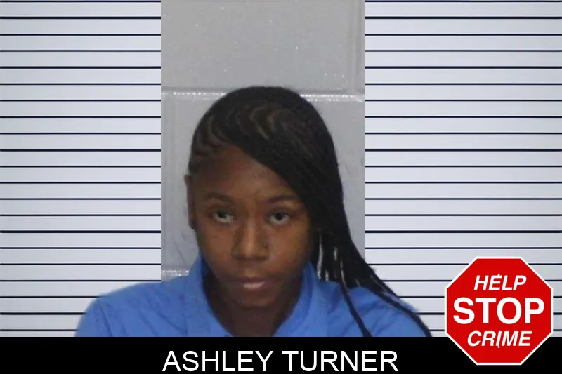 Ashley Turner Mugshots