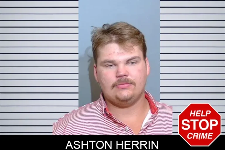 Ashton Herrin