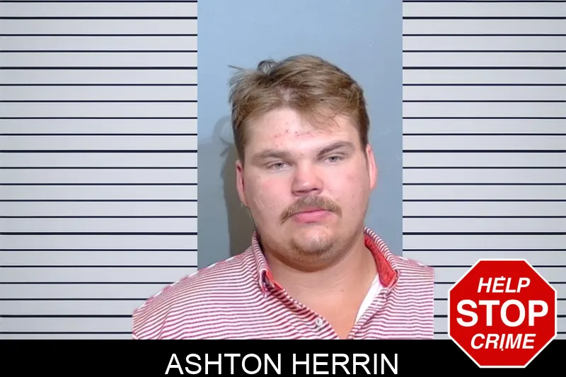 Ashton Herrin mugshot