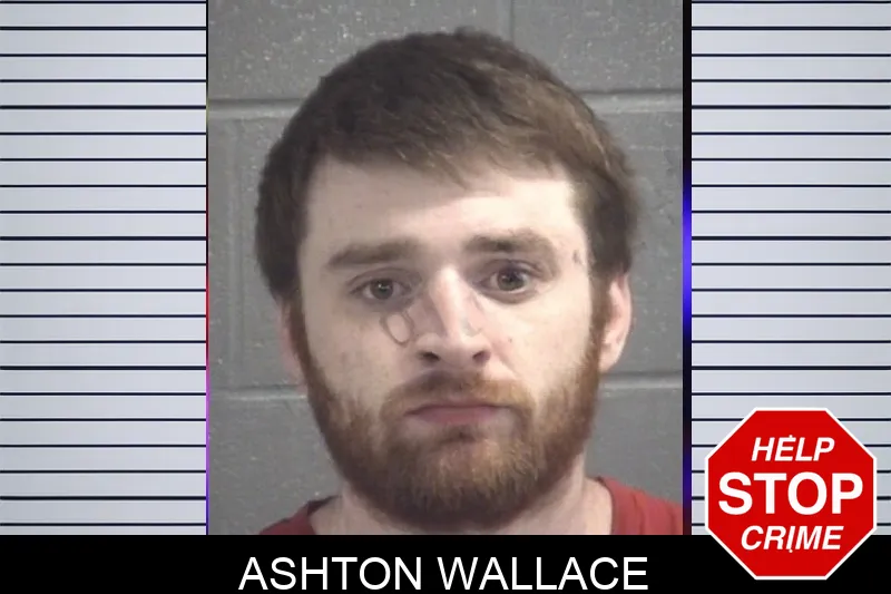 Ashton Wallace mugshot