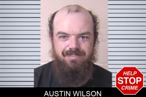 Austin Wilson mugshot