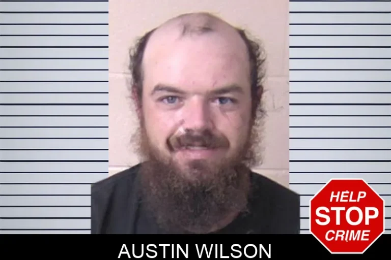 Austin Wilson