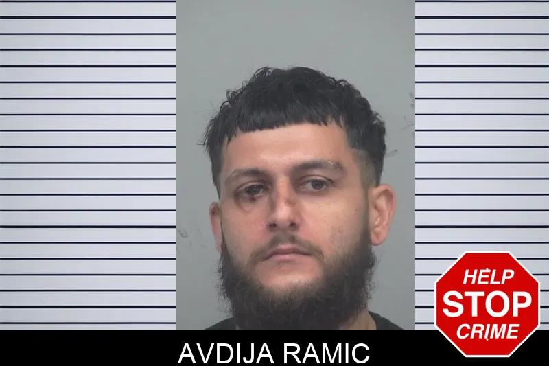 Avdija Ramic Mugshots
