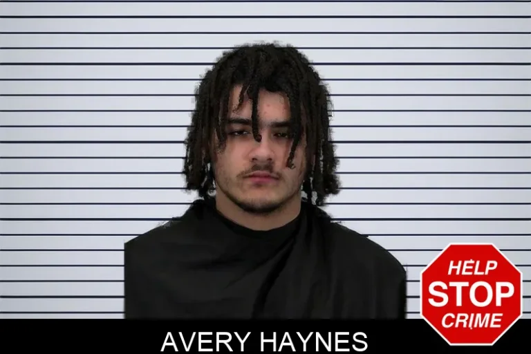 Avery Haynes
