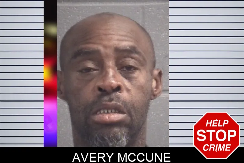 Avery McCune Mugshots