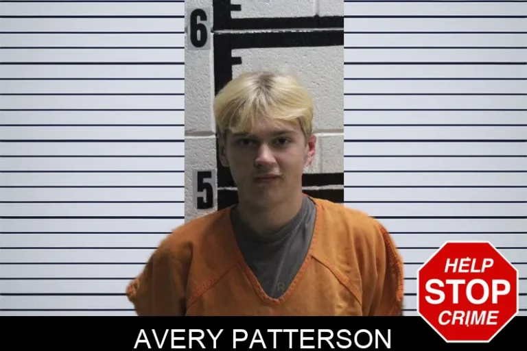 Avery Patterson mugshot – Murray County , Georgia Avery Patterson