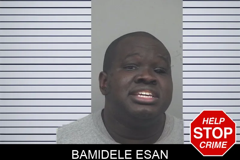 Bamidele Esan mugshot