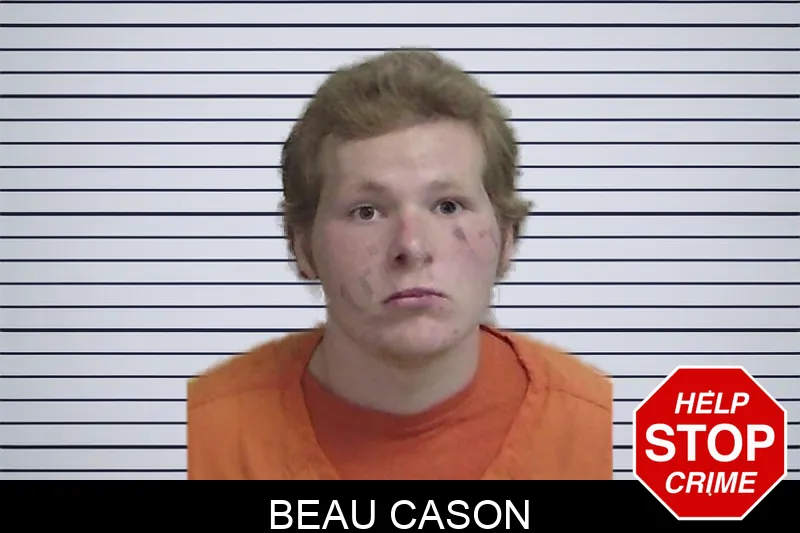 Beau Cason mugshot – Wayne County , Georgia Beau Cason mugshot