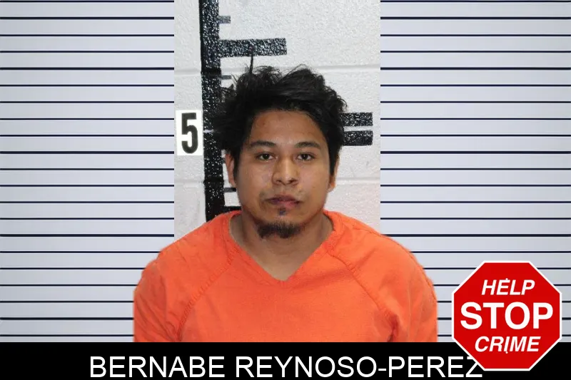 Bernabe Reynoso-Perez