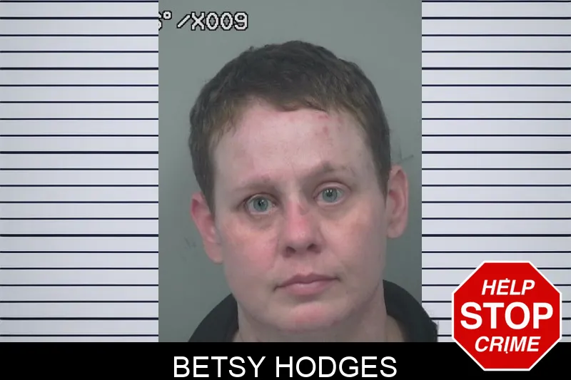 Betsy Hodges mugshot – Gwinnett County , Georgia Betsy Hodges mugshot