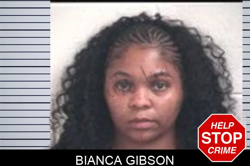 Bianca Gibson mugshot