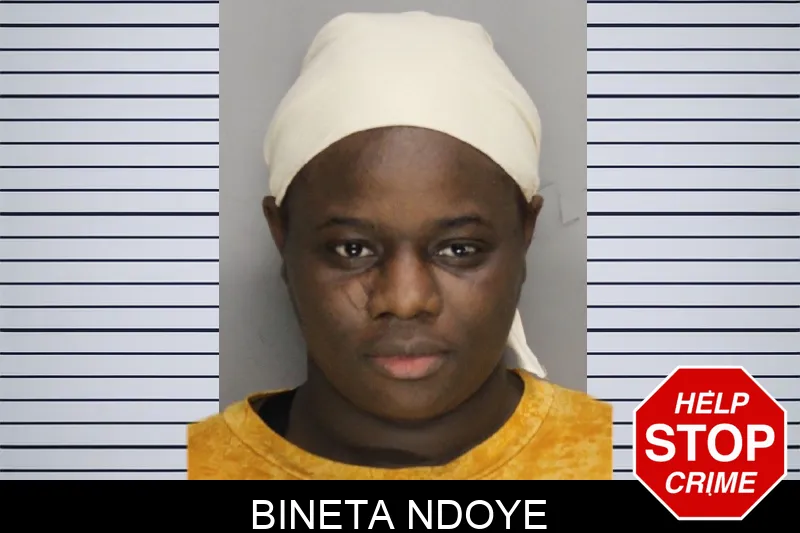 Bineta Ndoye