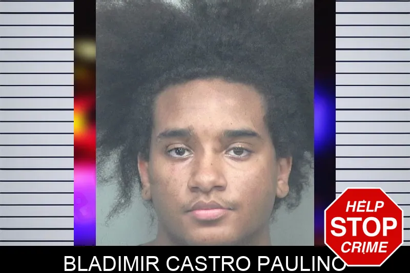 Bladimir Castro Paulino