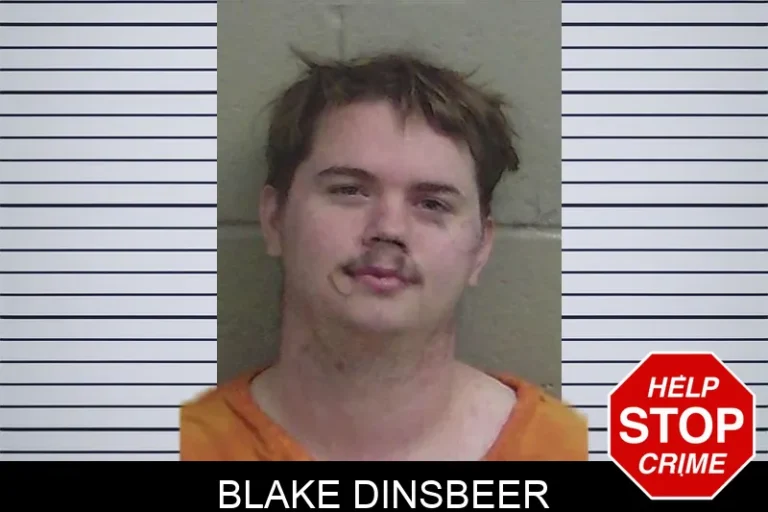 Blake Dinsbeer mugshot – Wayne County , Georgia Blake Dinsbeer