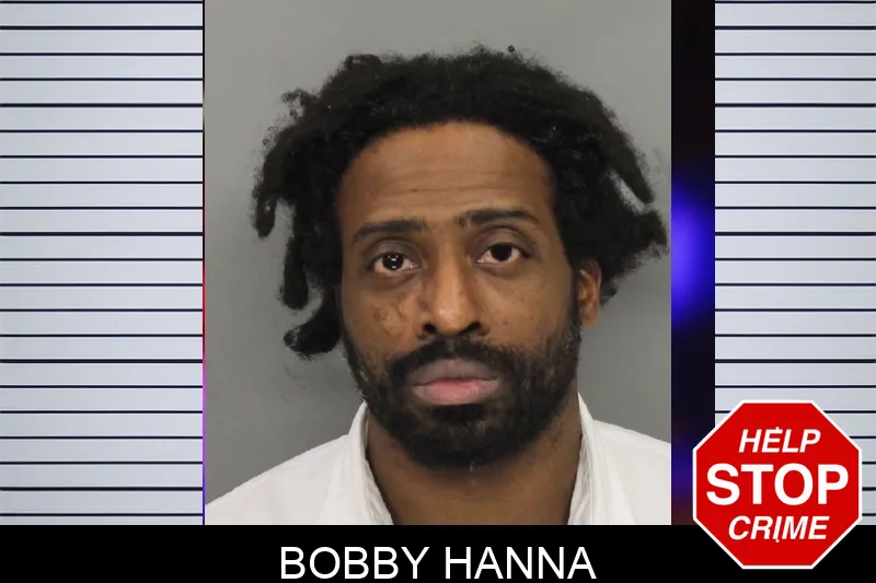 Bobby Hanna Mugshots