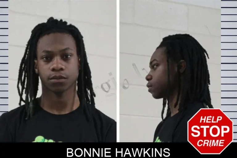 Bonnie Hawkins mugshot – Houston County , Georgia Bonnie Hawkins