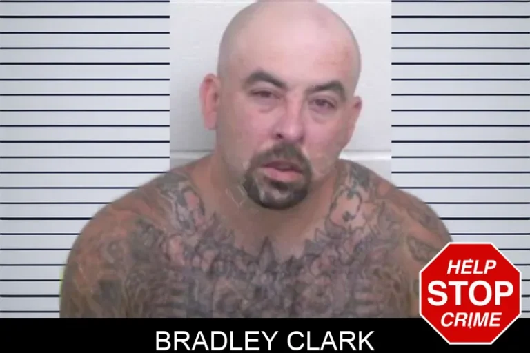 Bradley Clark