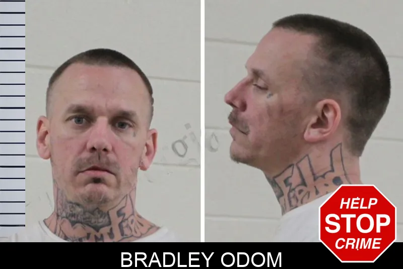 Bradley Odom mugshot – Houston County , Georgia Bradley Odom mugshot