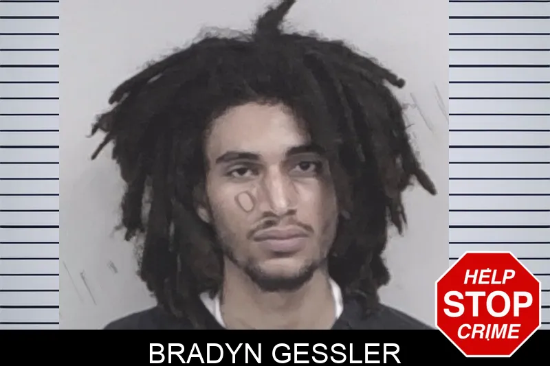 Bradyn Gessler mugshot – Lowndes County , Georgia Bradyn Gessler mugshot
