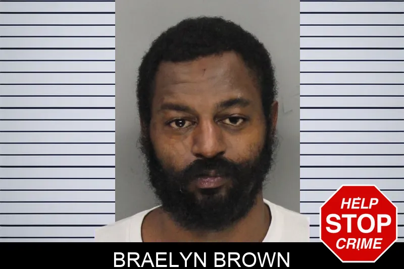 Braelyn Brown Mugshots