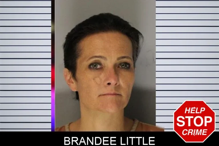 Brandee Little mugshot – Hall County , Georgia Brandee Little