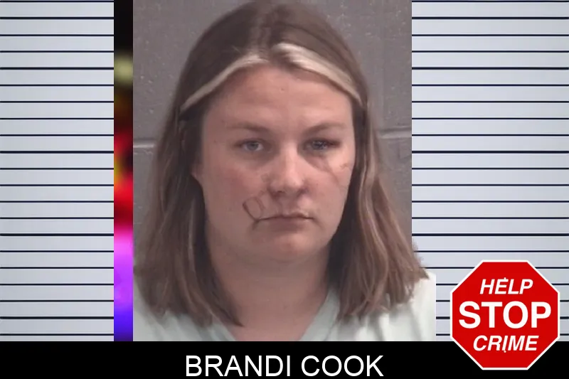 Brandi Cook mugshot
