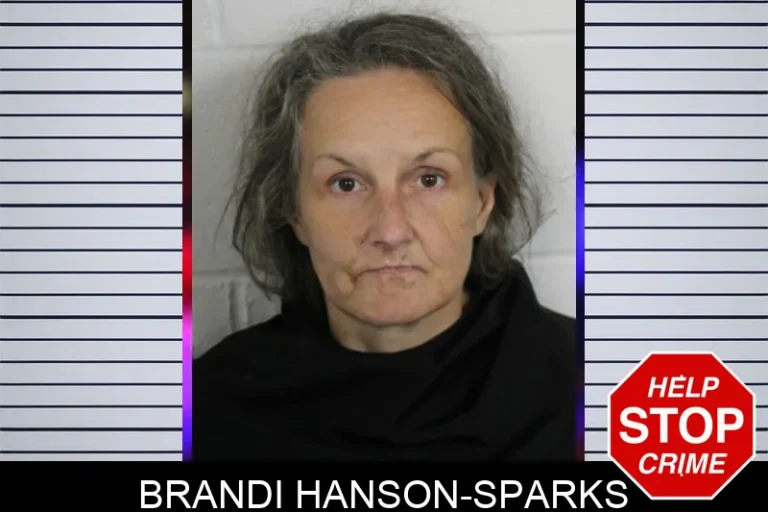 Brandi Hanson-Sparks