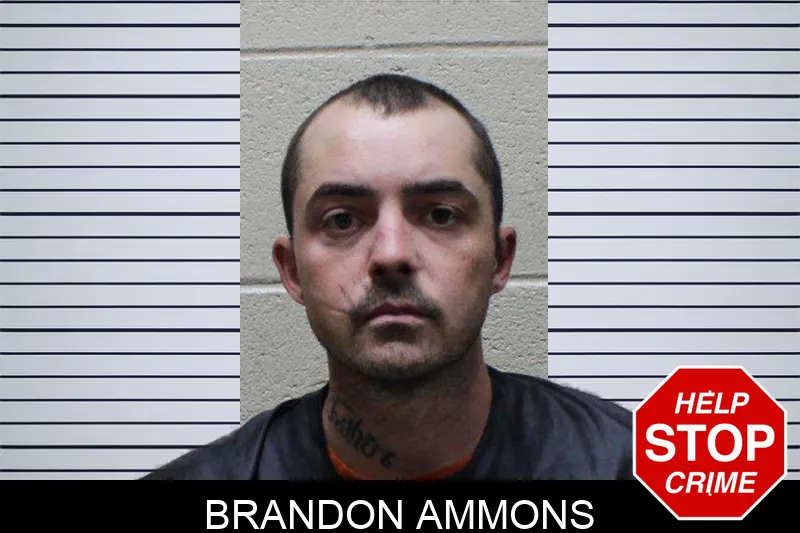 Brandon Ammons Mugshots
