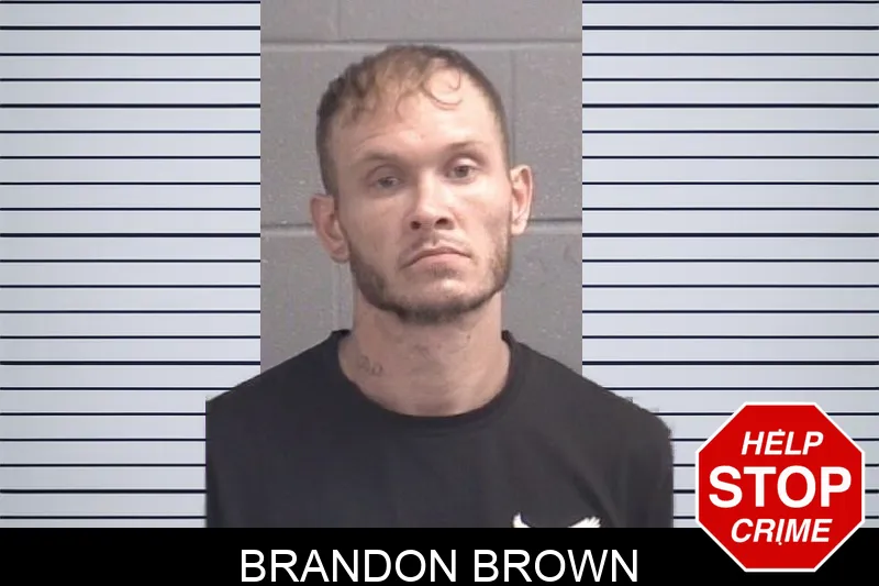 Brandon Brown Mugshots