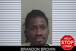 Brandon Brown mugshot