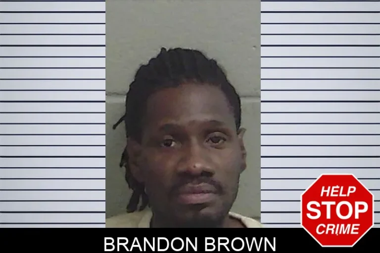 Brandon Brown mugshot – Wayne County , Georgia Brandon Brown